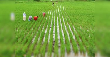 Tamil Nadu Farmers to get Rs 11,500 Crore Loans