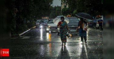 The wet spell is active in Gujarat for 5 days: IMD