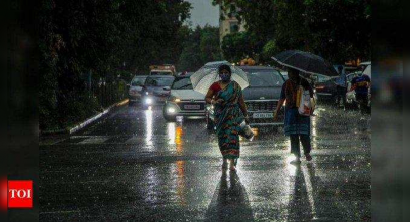 The wet spell is active in Gujarat for 5 days: IMD