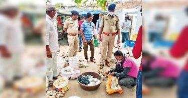 Coral, Racket Tongs Smuggery