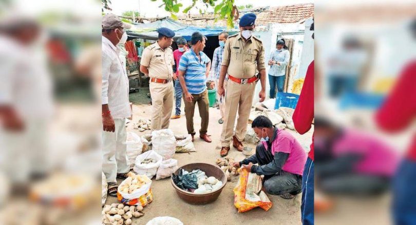 Coral, Racket Tongs Smuggery