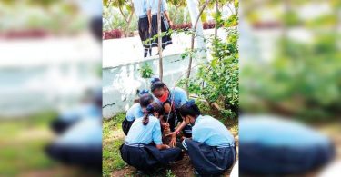 Three UTS planted more than two lakh worship