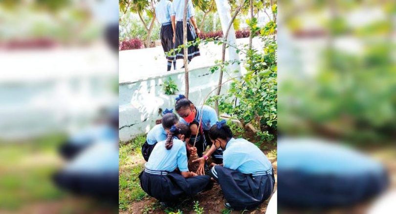 Three UTS planted more than two lakh worship