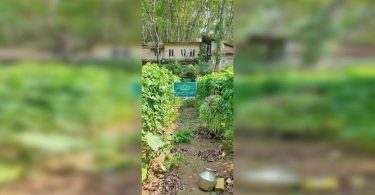 Regenerative agriculture produces positive results