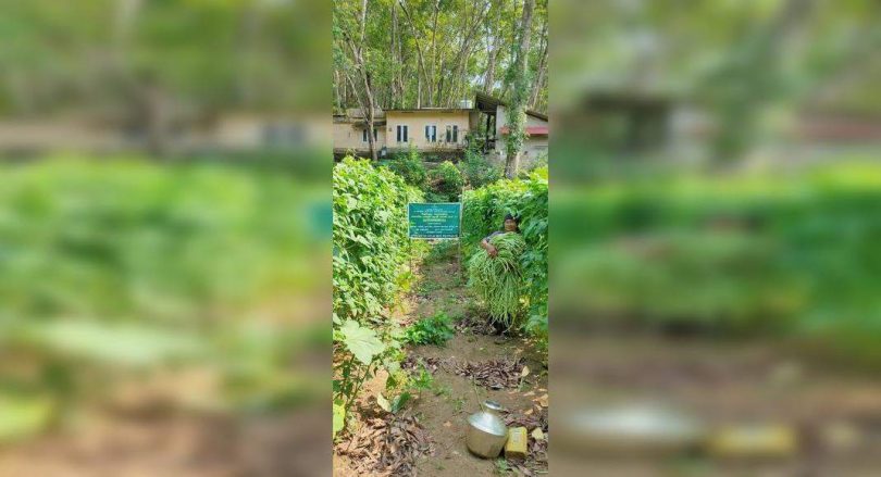 Regenerative agriculture produces positive results