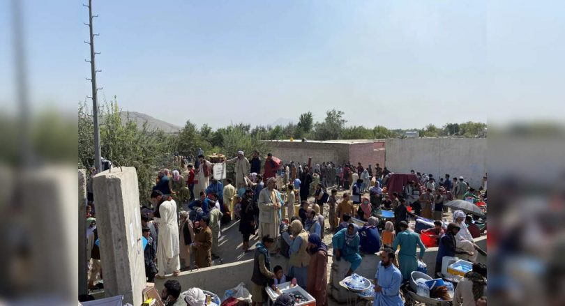 'Painful moment' as a Dutch flight stopped Kabul's evacuation