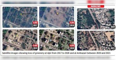 PMOs are misled on the logging of trees in the city, say the Green Crusades