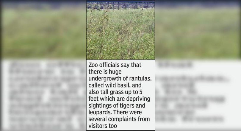 Gorewada Park is closed until August 31 to clear the bushes