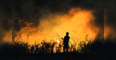 Stainble Burning: Up Choose 868 Cases for Withdrawal