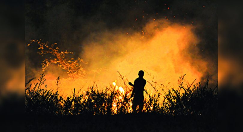 Stainble Burning: Up Choose 868 Cases for Withdrawal