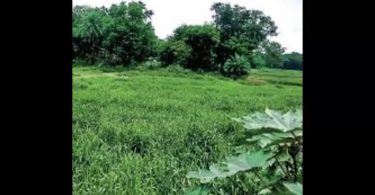 HYD: 21-Acre Land Railway at Moula Ali for monetizing