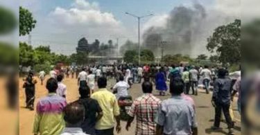 TN: Probe Panel for COPS Quiz Opened Fired