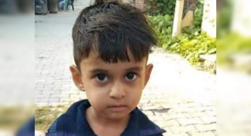 4 year old boy died of Krait snake bites