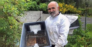 French beekeepers handle the Asia Hornet invasion with homemade traps