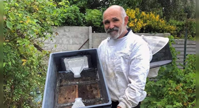 French beekeepers handle the Asia Hornet invasion with homemade traps