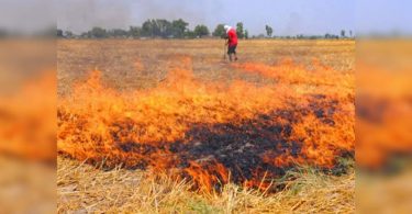 25K farmers to use stump solutions