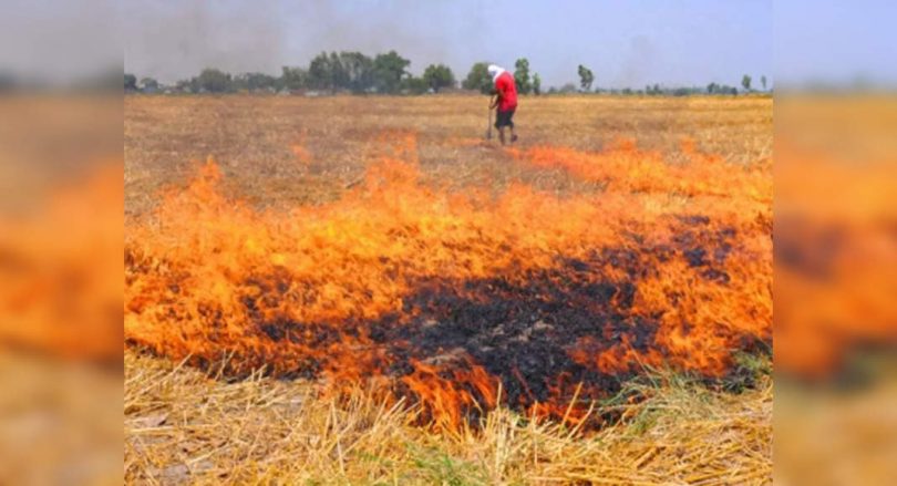 25K farmers to use stump solutions