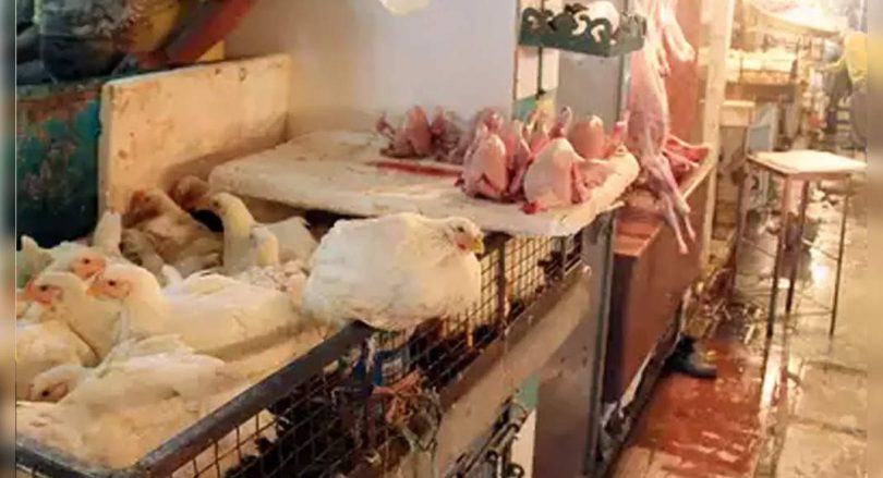 BBMP order closure of meat shop in Janmashtami