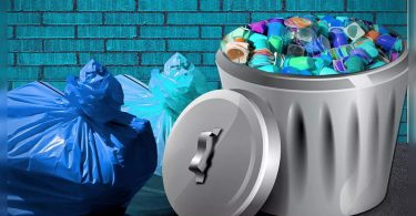 Guj: plastic waste from cattle used to buy animal feed, fuel!