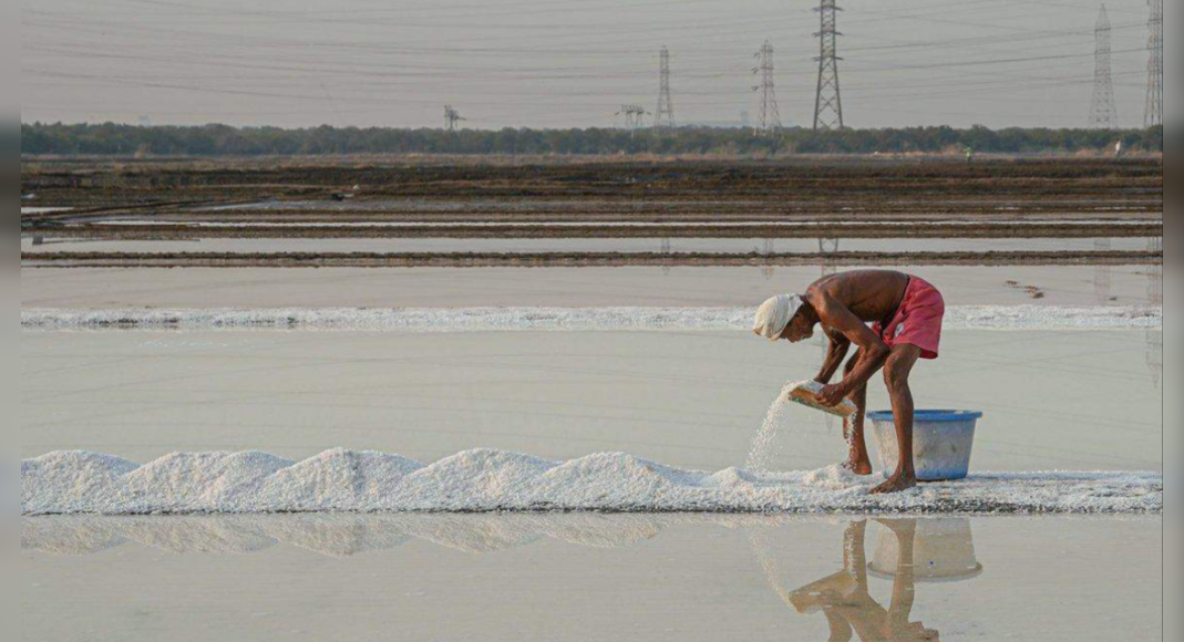 Rain Extended Hits Hard Salt Production in Gujarat