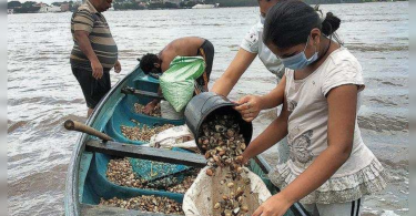 Goa: Trim Tisreo Rich Verem deepens Nerulic Pain