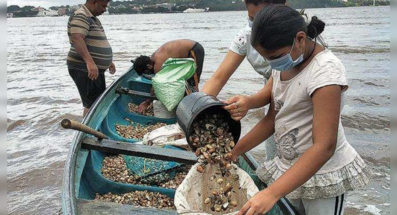 Goa: Trim Tisreo Rich Verem deepens Nerulic Pain