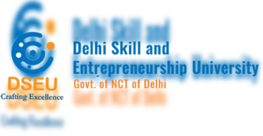 DSEU offers a sophisticated diploma in software programming for women, trans women trans