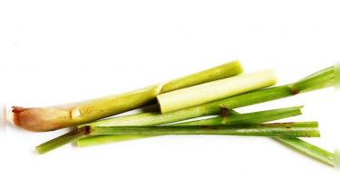 Lemongrass Aroma Wanaparthy Wafts in Telangana