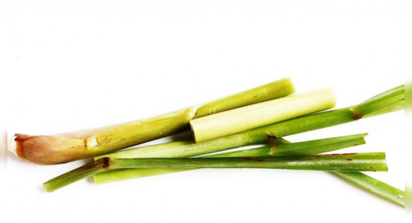 Lemongrass Aroma Wanaparthy Wafts in Telangana