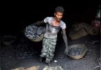 India asks the utility to import coal in the middle of a short supply