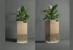 This smart air cleaner uses plants to clean the air in your room