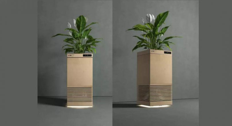 This smart air cleaner uses plants to clean the air in your room