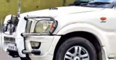 Bull stem has returned 6 months after the hard action in Chennai