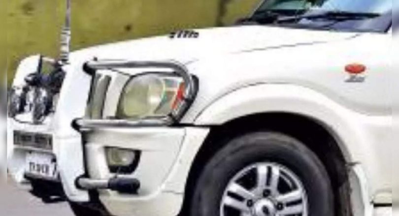 Bull stem has returned 6 months after the hard action in Chennai