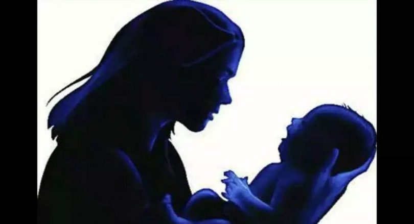 New life moves in the fertility industry in cabbage