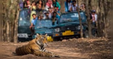 Women's Drivers To Break Half Barriers
