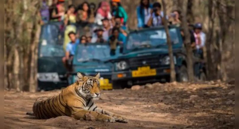 Women's Drivers To Break Half Barriers