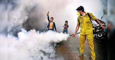 Mum: a large surge in cases of dengue fever, 132 recorded in August