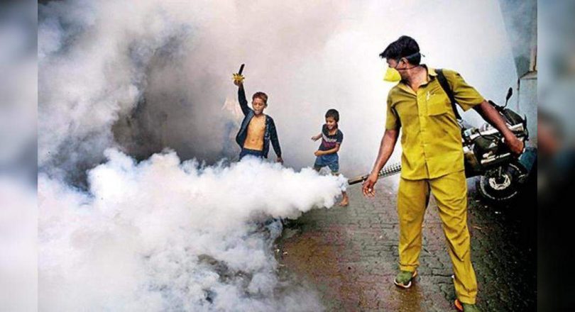 Mum: a large surge in cases of dengue fever, 132 recorded in August