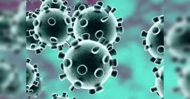 Pre-term babies defeat severe post-covid syndrome