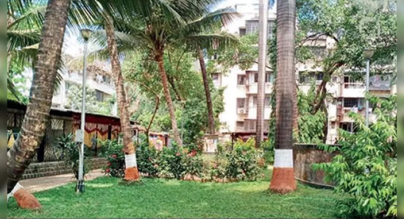 Mumbai tree trunks painted trigger interest abroad