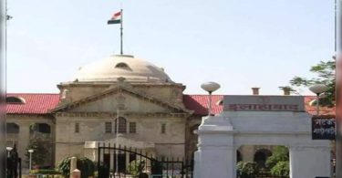 Cows must be declared national animals: HC