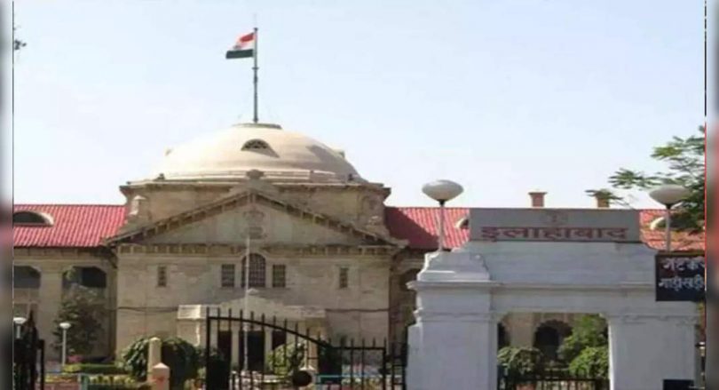 Cows must be declared national animals: HC