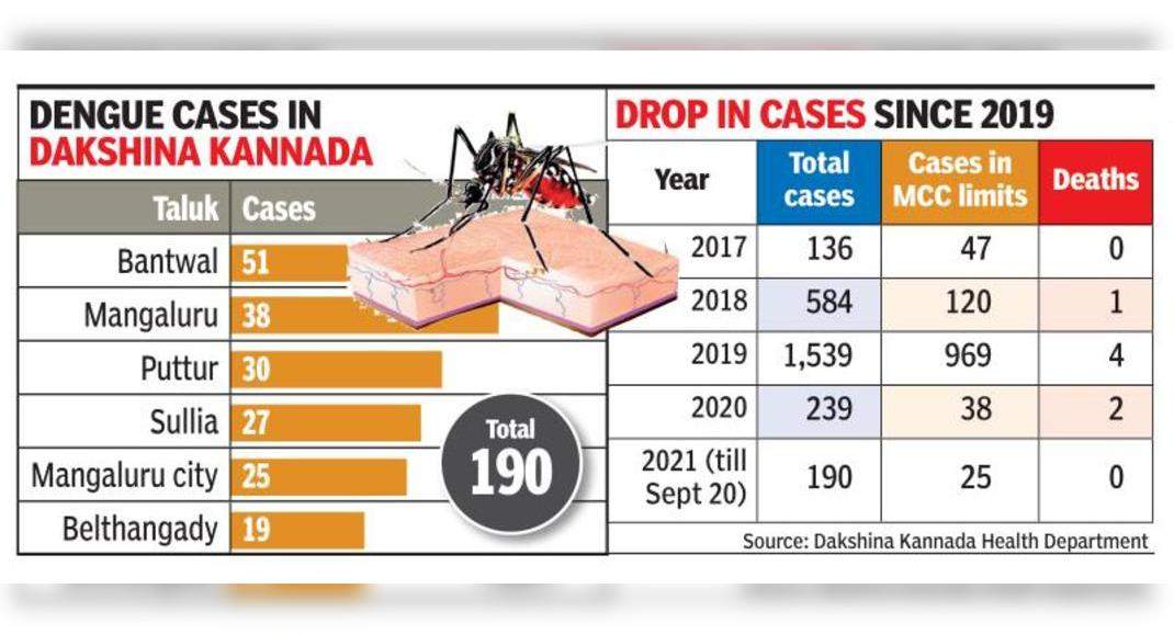 Dengue case under control in Dakshina Kannada