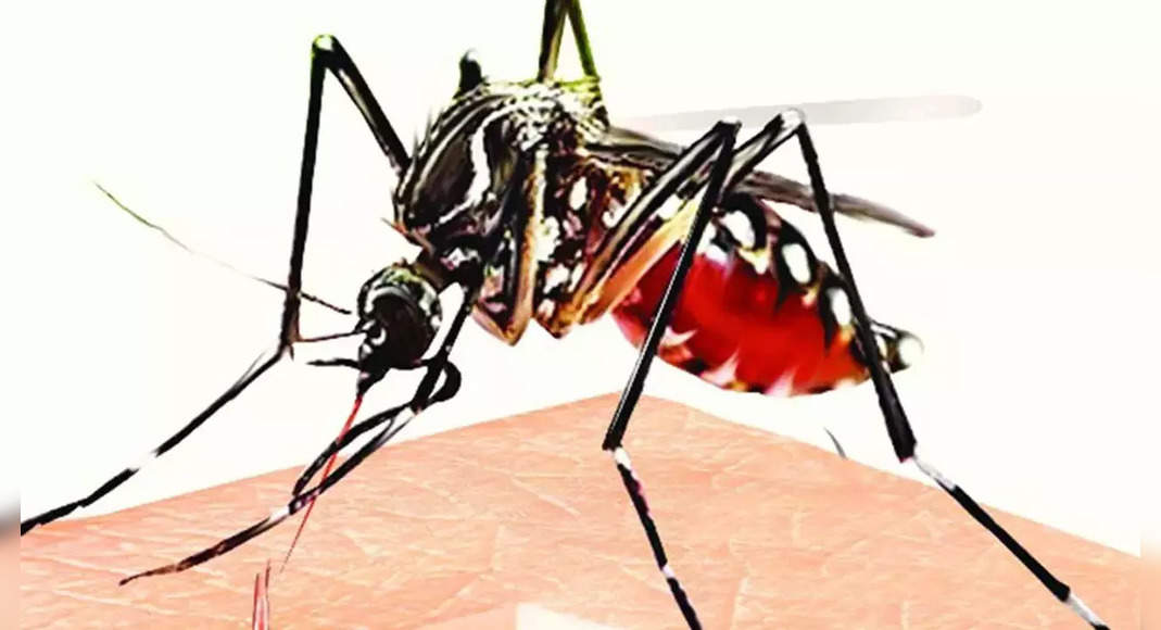 Boy 19 Years of the First Dengue Fever in Kolkata This Year