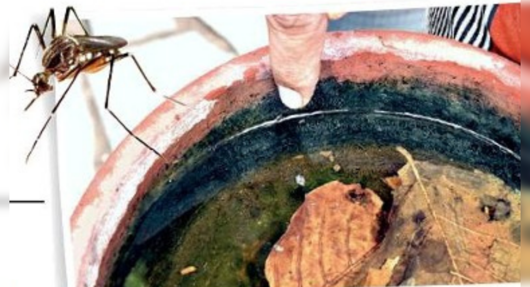 Vector strike Add to Corona Woes in Ahmedabad