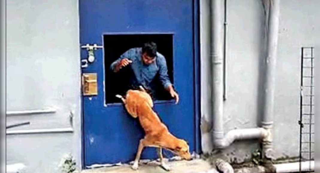 Kolkata: The police opened the door open to save a stranded dog