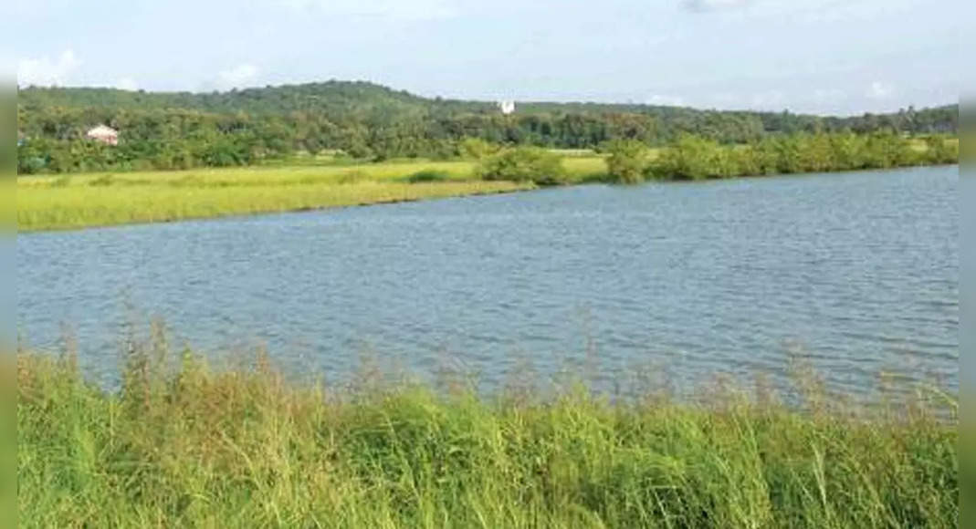 Goa allows PVP players to build eco-projects in Chorao