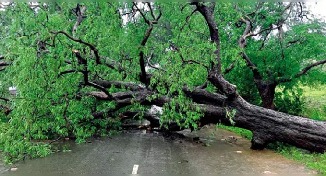 The shadow of the new storm above Odisha hours after Gulab becomes soft