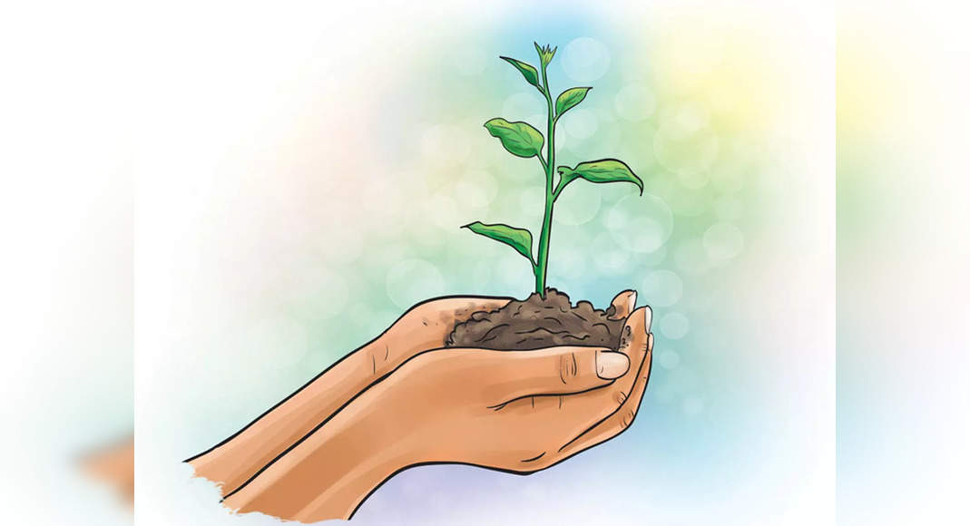 Why just plantation drives will not increase forest cover in Gurugram